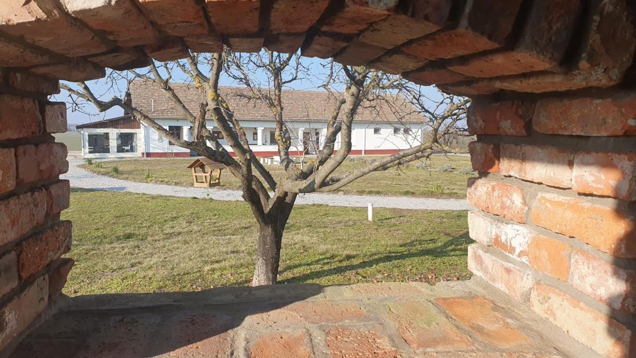 Bed and Breakfast Tisza White House Tiszaszolos Экстерьер фото