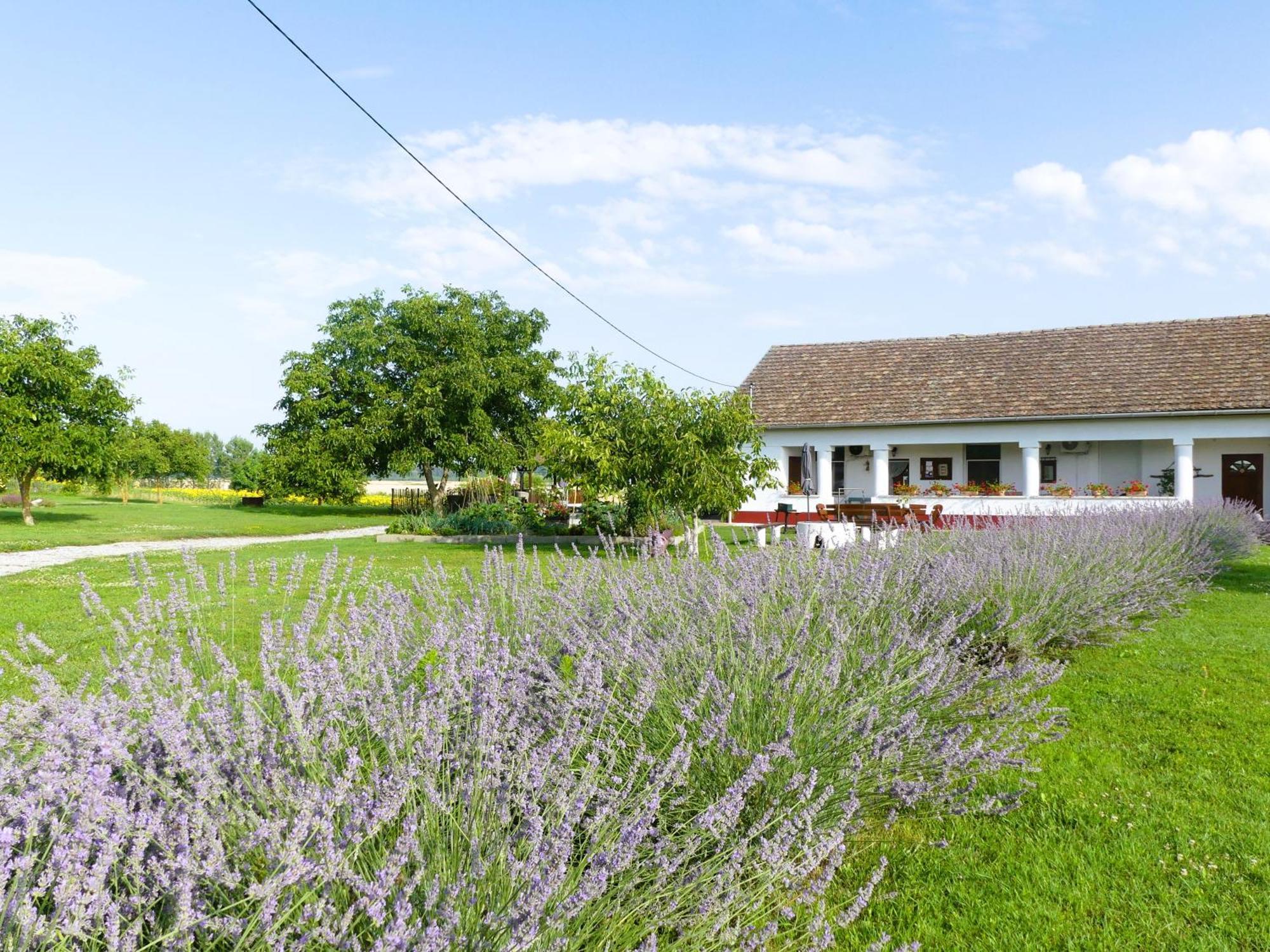 Bed and Breakfast Tisza White House Tiszaszolos Экстерьер фото