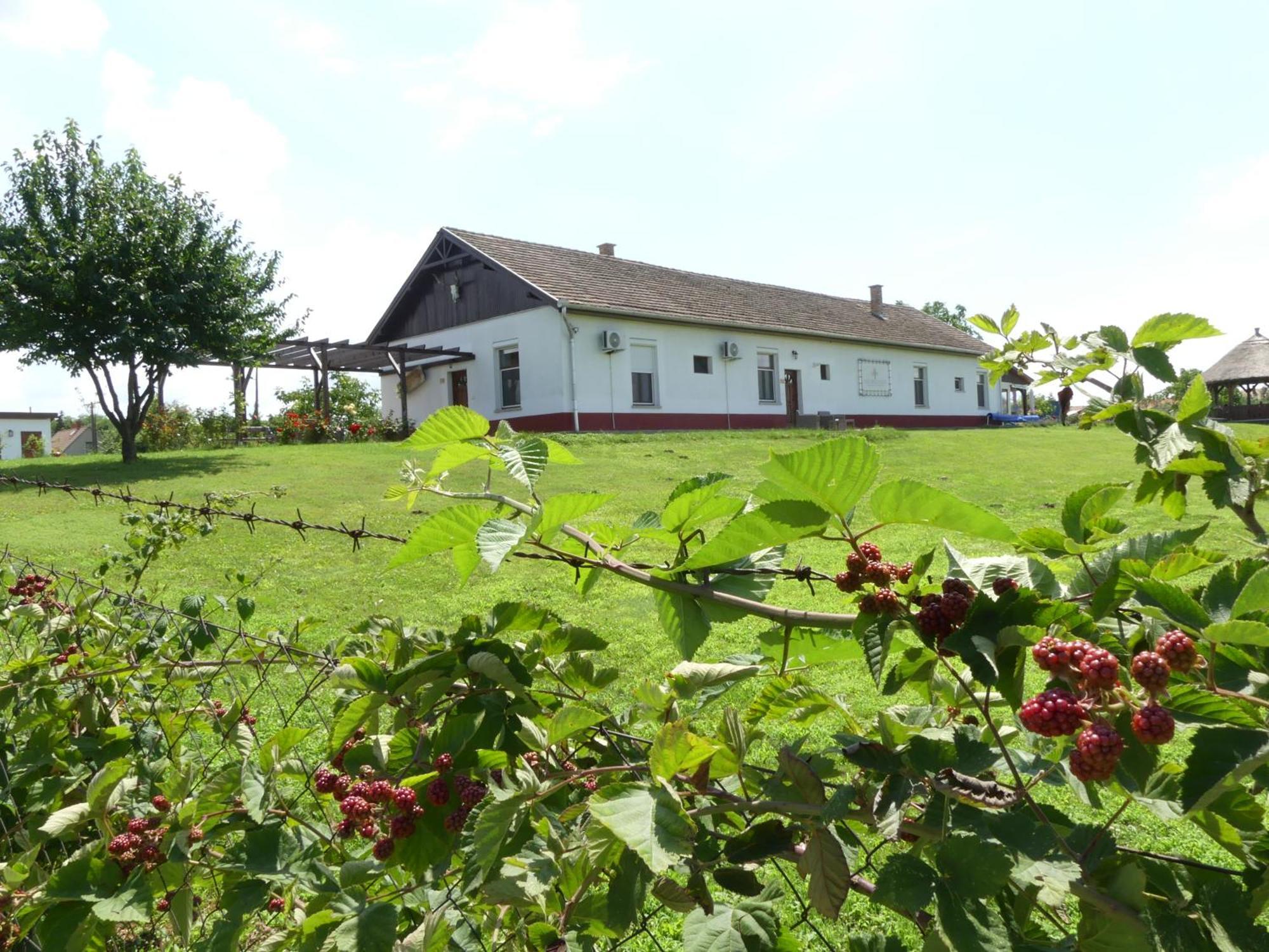 Bed and Breakfast Tisza White House Tiszaszolos Экстерьер фото